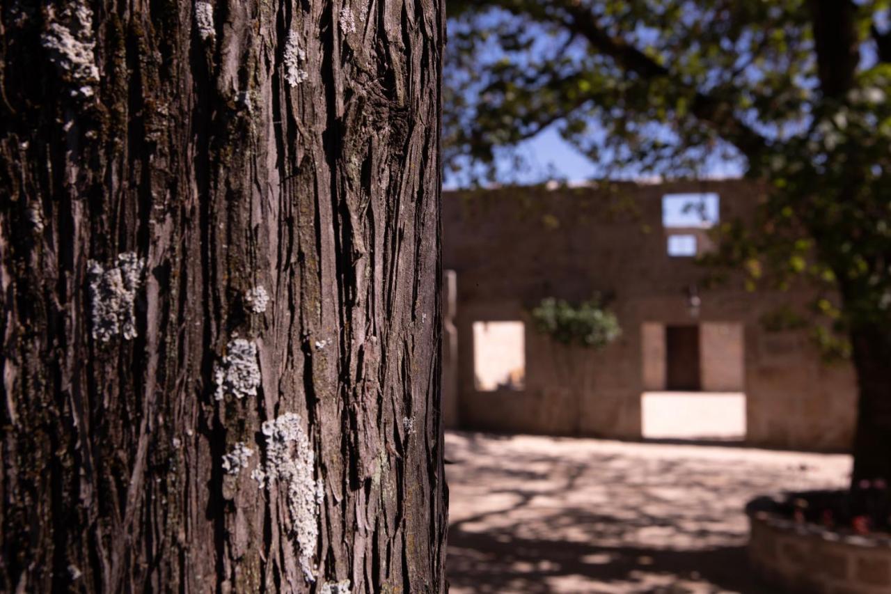 Quinta De Sao Francisco Houses Viseu Εξωτερικό φωτογραφία